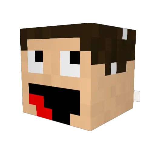 KIKINForgetof Minecraft avatar head, 3D render