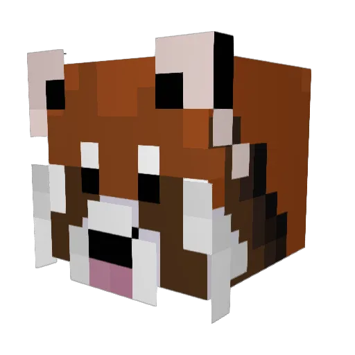 KILLERWHALES1 Minecraft avatar head, 3D render