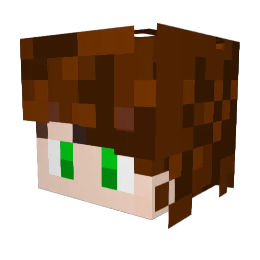 KINGFISHER0503 Minecraft avatar head, 3D render