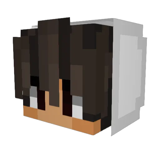 KINGPIN811 Minecraft avatar head, 3D render
