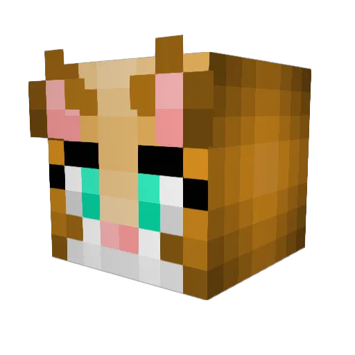 KINGPOOPOO Minecraft avatar head, 3D render