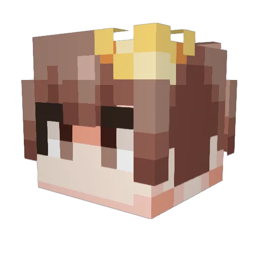 KINGSUNW Minecraft avatar head, 3D render