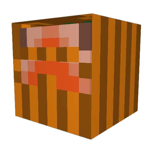 KINGWATER000 Minecraft avatar head, 3D render