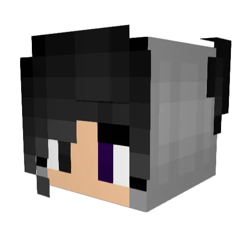 KINGZ806 Minecraft avatar head, 3D render