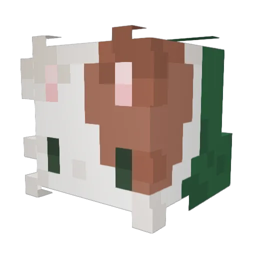 KING_ACE101 Minecraft avatar head, 3D render