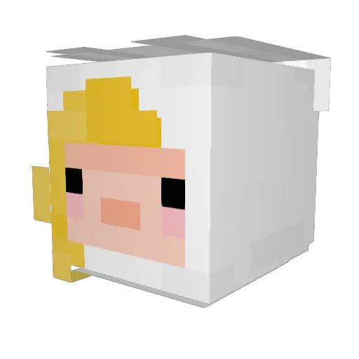 KING_cojicoji Minecraft avatar head, 3D render