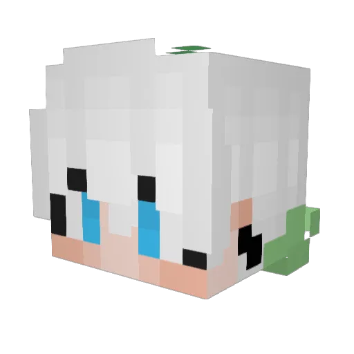 KINGbean5454 Minecraft avatar head, 3D render