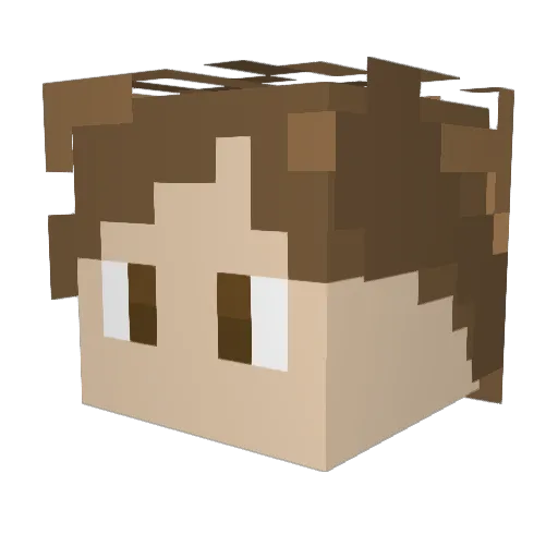 KIS_Bandi Minecraft avatar head, 3D render