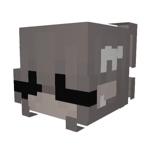 KITTENSLEEPY Minecraft avatar head, 3D render
