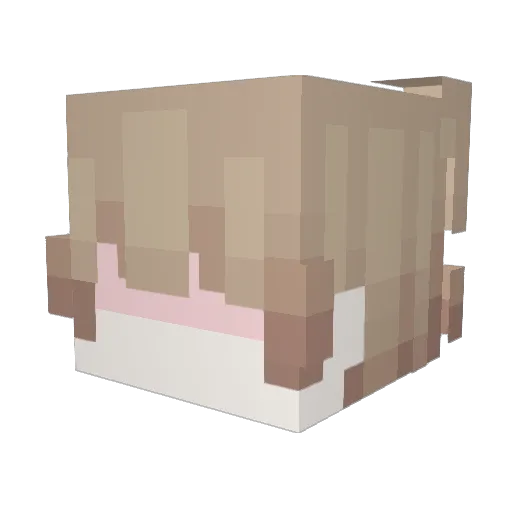 KITTYBOYMELROS Minecraft avatar head, 3D render