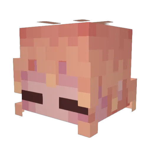 KITTYPAULMANSION Minecraft avatar head, 3D render