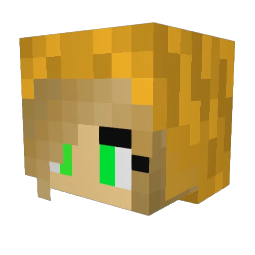 KJ14 Minecraft avatar head, 3D render