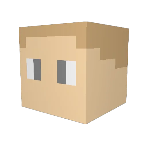 KJ7QLV Minecraft avatar head, 3D render