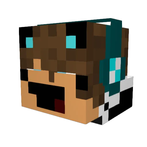 KJFOX2006 Minecraft avatar head, 3D render