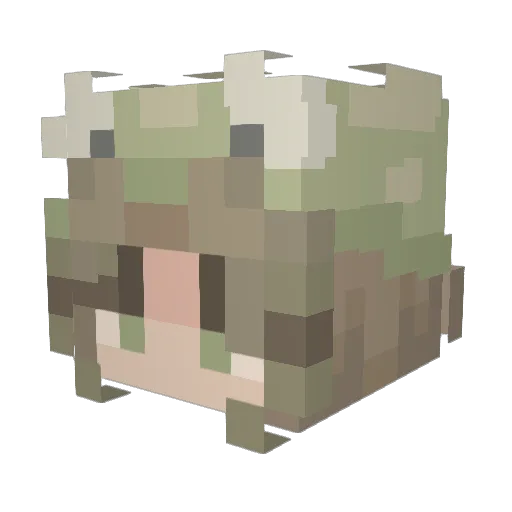 KKGamerKam Minecraft avatar head, 3D render
