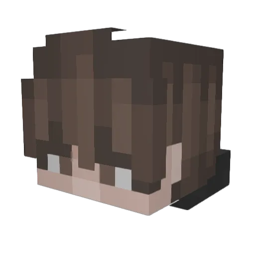 KK_c0coa Minecraft avatar head, 3D render