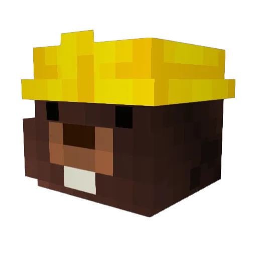KKoalaOC Minecraft avatar head, 3D render