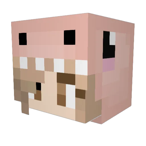 KL0PSIK Minecraft avatar head, 3D render
