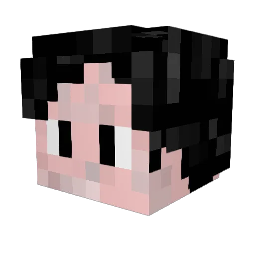KLEISON1 Minecraft avatar head, 3D render
