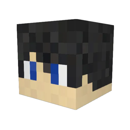 KLSSS Minecraft avatar head, 3D render