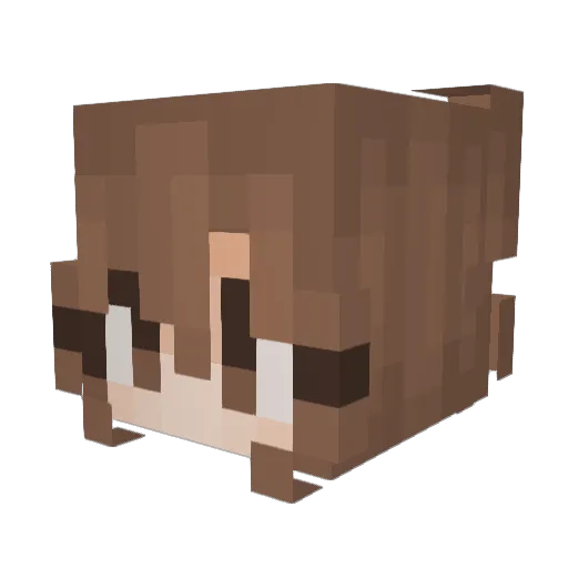 KMC09 Minecraft avatar head, 3D render