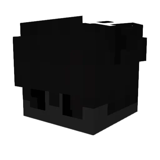 KMNMEMBERFINN Minecraft avatar head, 3D render