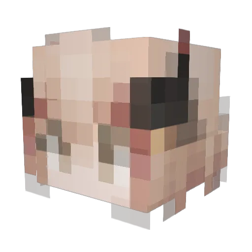 KMS_Roon_ Minecraft avatar head, 3D render