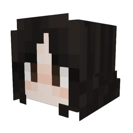 KMartR Minecraft avatar head, 3D render