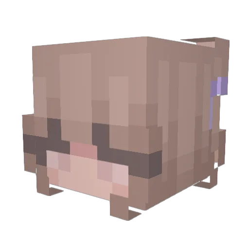 KN1VES6942 Minecraft avatar head, 3D render
