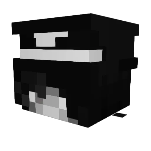 KNAXYOYOYOYO Minecraft avatar head, 3D render