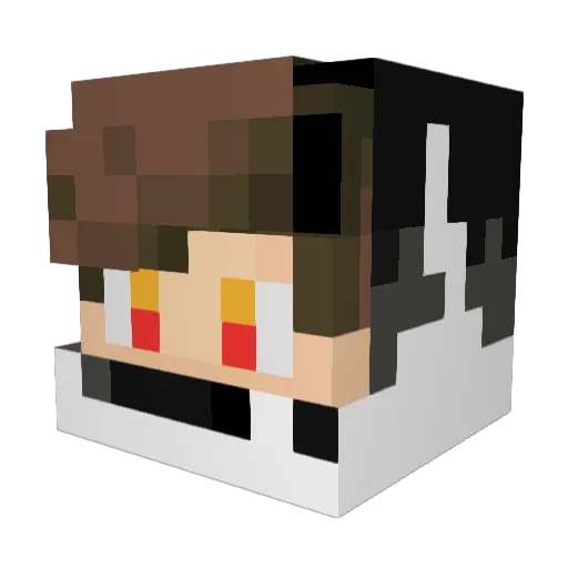 KND_BG Minecraft avatar head, 3D render