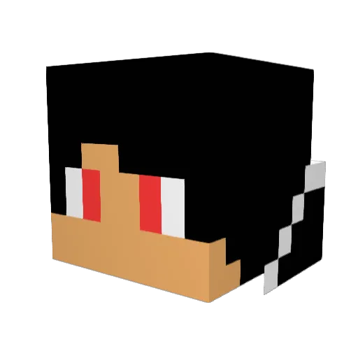 KNINJA015 Minecraft avatar head, 3D render