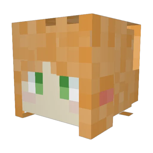KNPing Minecraft avatar head, 3D render