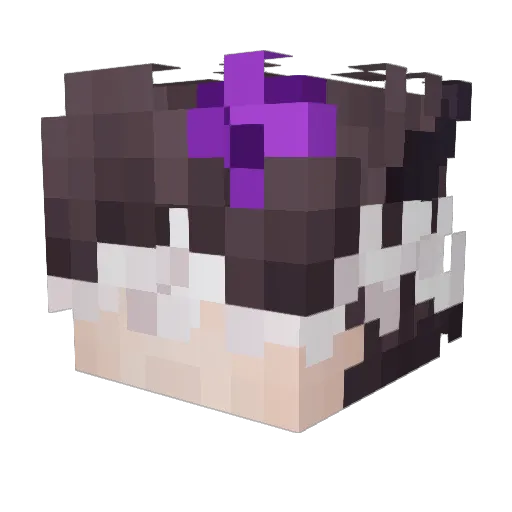 KNSutrym Minecraft avatar head, 3D render