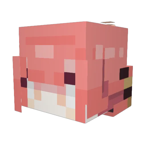 KNT0128 Minecraft avatar head, 3D render