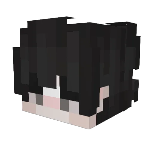 KNY_Spyd3r Minecraft avatar head, 3D render