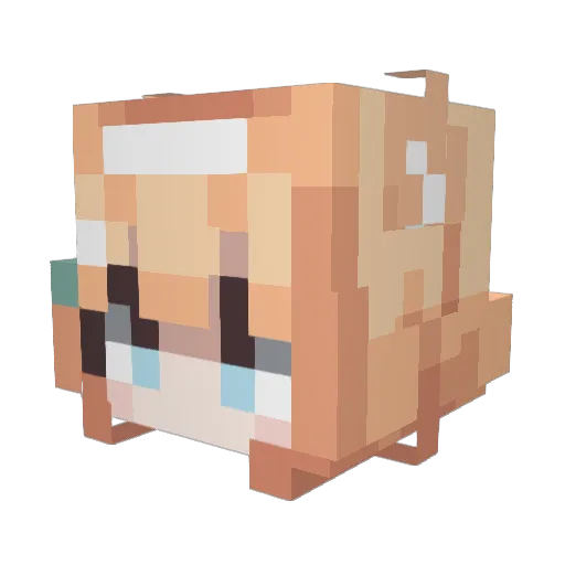 KN_312 Minecraft avatar head, 3D render