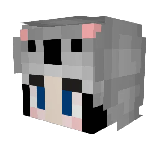 KOALA1205 Minecraft avatar head, 3D render