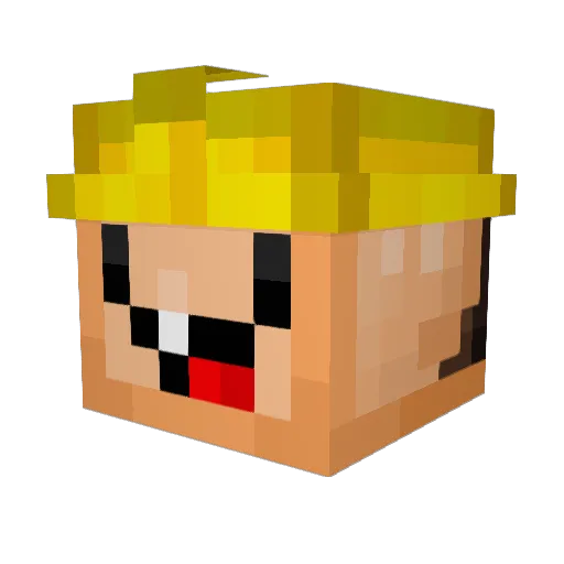 KOALOS Minecraft avatar head, 3D render
