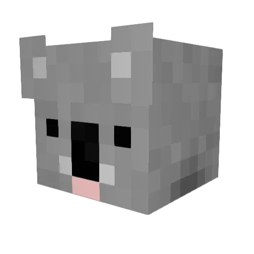 KOA_le_koala Minecraft avatar head, 3D render