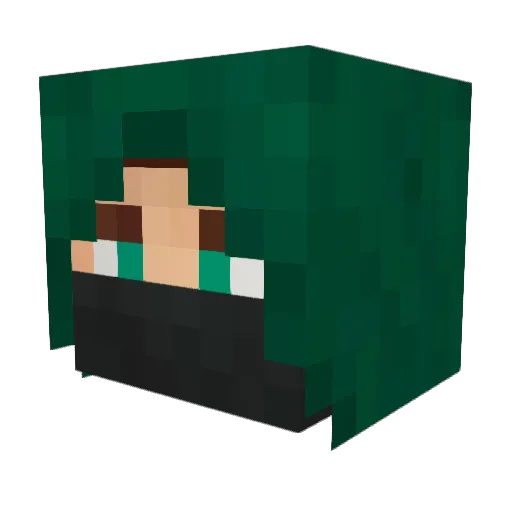 KOBRA35 Minecraft avatar head, 3D render