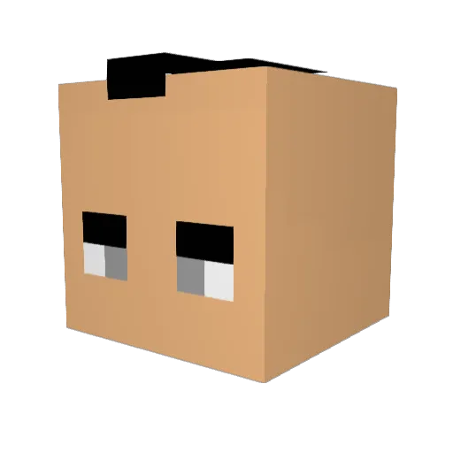KOKOJAJAoff Minecraft avatar head, 3D render