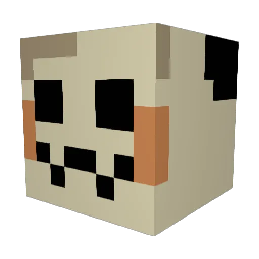 KOKOSPICE Minecraft avatar head, 3D render