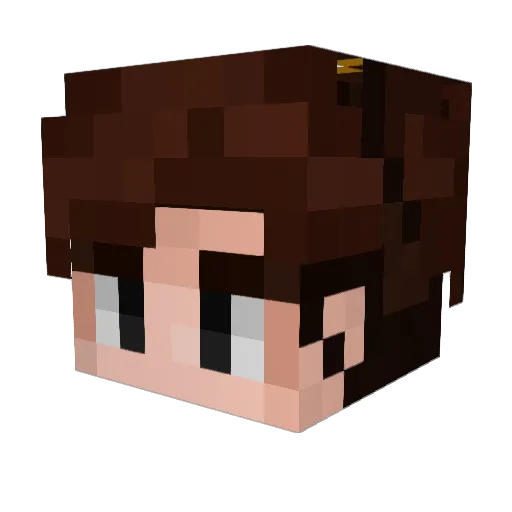 KOPATEL_OFFLINE Minecraft avatar head, 3D render