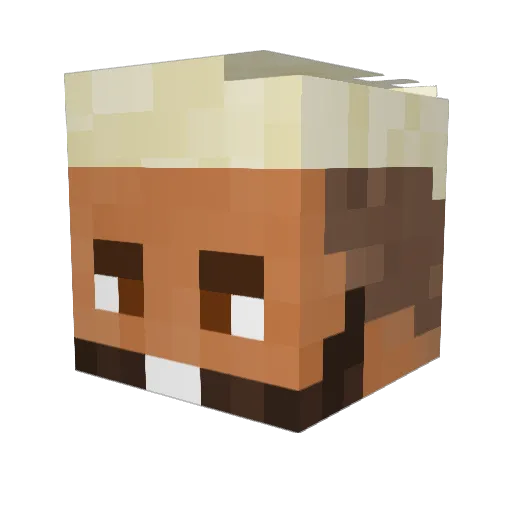 KOREALINGARD Minecraft avatar head, 3D render
