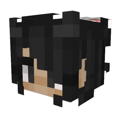 KOREANGY Minecraft avatar head, 3D render