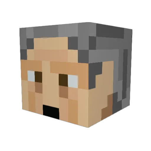 KOR_goose Minecraft avatar head, 3D render