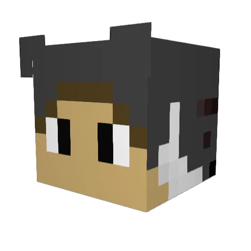 KOSTNER Minecraft avatar head, 3D render