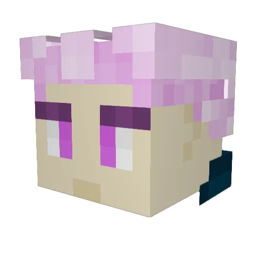 KOYUKl_ Minecraft avatar head, 3D render