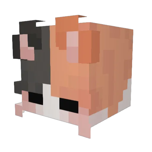 KPTNLOGARTRSUCKS Minecraft avatar head, 3D render